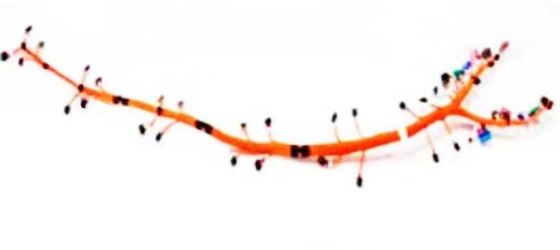 Flame Retardant Auto BMS Wiring Harness For High Temperature Environments