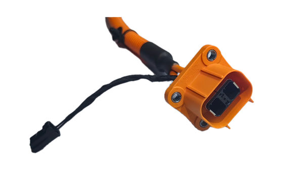 Automotive BMS Wiring Harness with Corrosion Resistant Coating