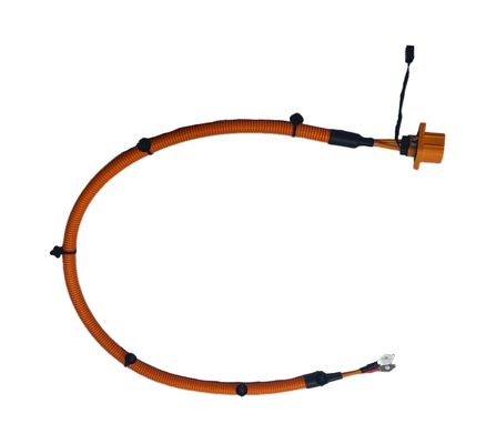 Automotive BMS Wiring Harness with Corrosion Resistant Coating