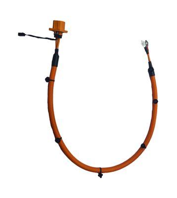 Automotive BMS Wiring Harness with Corrosion Resistant Coating